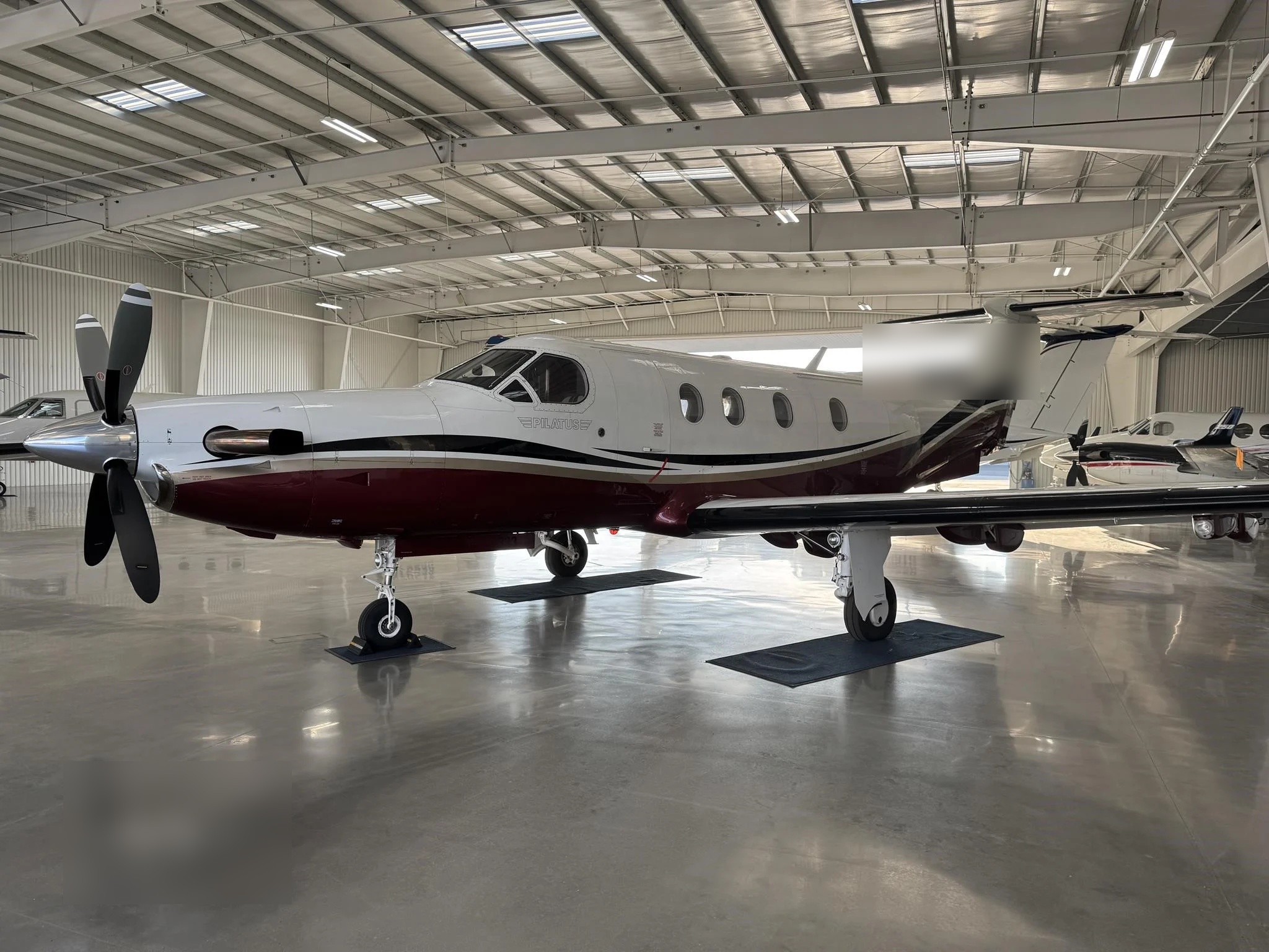 Pilatus PC-12/45 - Vista alternativa